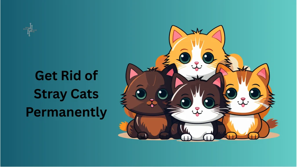 Get Rid of Stray Cats Permanently