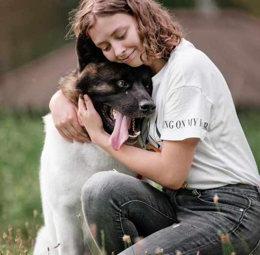 dog-5964181_1280